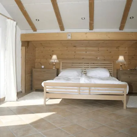 3 House -winter -ski Lofer